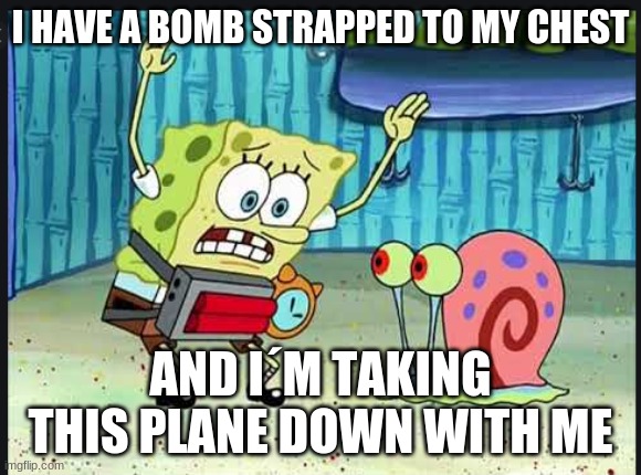 Gary help me, I have a bomb strapped to my chest | I HAVE A BOMB STRAPPED TO MY CHEST; AND I´M TAKING THIS PLANE DOWN WITH ME | image tagged in gary help me i have a bomb strapped to my chest | made w/ Imgflip meme maker