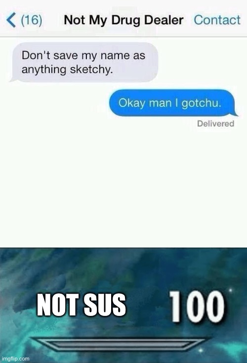 Totally not sus mom | NOT SUS | image tagged in skyrim skill 100,drug dealer,texting | made w/ Imgflip meme maker