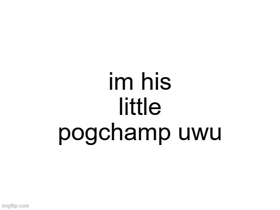 hehe | im his little pogchamp uwu | image tagged in blank white template | made w/ Imgflip meme maker