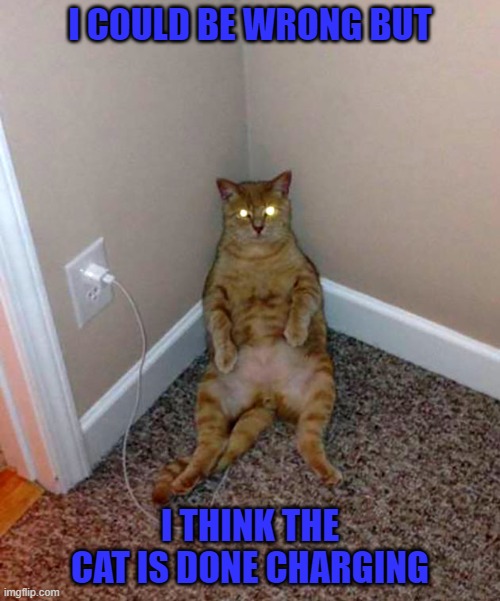 He still doesn't look 100% to me... | I COULD BE WRONG BUT; I THINK THE CAT IS DONE CHARGING | image tagged in cats,cat charging,animals | made w/ Imgflip meme maker
