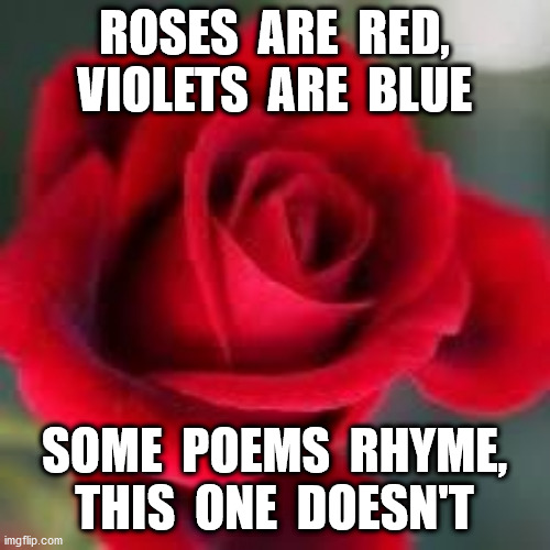 roses are red | ROSES  ARE  RED, VIOLETS  ARE  BLUE SOME  POEMS  RHYME, THIS  ONE  DOESN'T | image tagged in roses are red | made w/ Imgflip meme maker
