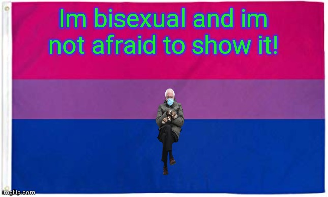 PRIDE | Im bisexual and im not afraid to show it! | image tagged in bisexual flag | made w/ Imgflip meme maker