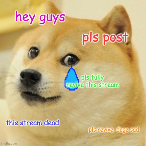 Doge | hey guys; pls post; pls fully revive this stream; this stream dead; pls revive. doge sad | image tagged in memes,doge | made w/ Imgflip meme maker