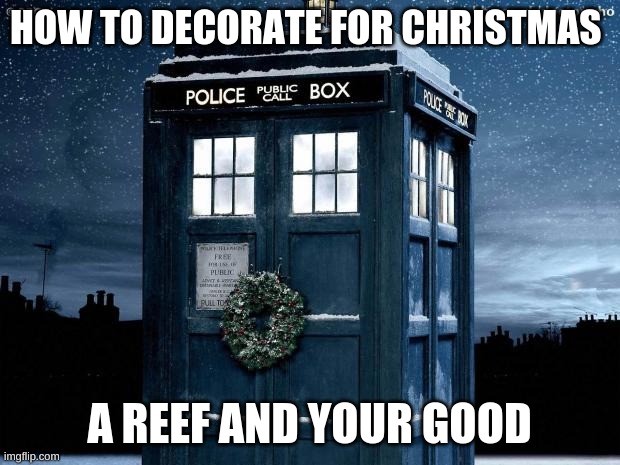 Tardis Christmas Doctor Who  | HOW TO DECORATE FOR CHRISTMAS; A REEF AND YOUR GOOD | image tagged in tardis christmas doctor who | made w/ Imgflip meme maker