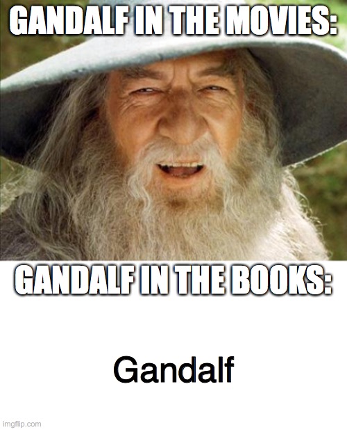 What did you expect | GANDALF IN THE MOVIES:; GANDALF IN THE BOOKS:; Gandalf | image tagged in lord of the rings,books,movies,funny,funny memes,memes | made w/ Imgflip meme maker