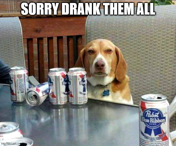 beer dog | SORRY DRANK THEM ALL | image tagged in beer dog | made w/ Imgflip meme maker