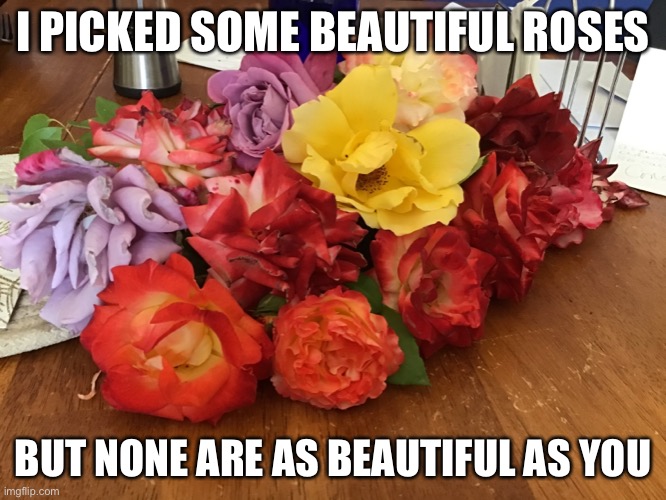 I PICKED SOME BEAUTIFUL ROSES; BUT NONE ARE AS BEAUTIFUL AS YOU | made w/ Imgflip meme maker