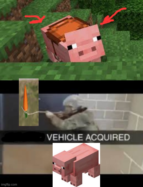 Me in Minecraft: | image tagged in minecraft,pig,minecraft pig,memes | made w/ Imgflip meme maker