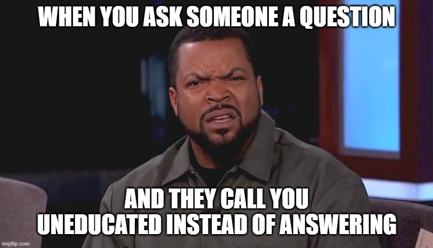 Bruh, that's why I'm asking!! | WHEN YOU ASK SOMEONE A QUESTION; AND THEY CALL YOU UNEDUCATED INSTEAD OF ANSWERING | image tagged in really ice cube | made w/ Imgflip meme maker