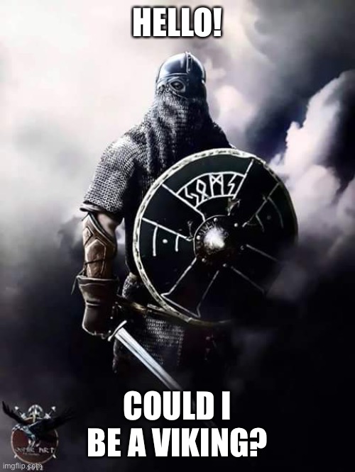 I could be a berserker or something | HELLO! COULD I BE A VIKING? | image tagged in viking warrior | made w/ Imgflip meme maker