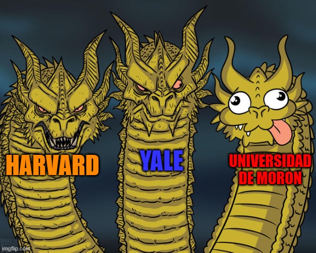 universidad de moron is a real university | YALE HARVARD UNIVERSIDAD DE MORON | image tagged in three-headed dragon,college,funny memes | made w/ Imgflip meme maker