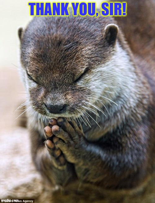 Thank you Lord Otter | THANK YOU, SIR! | image tagged in thank you lord otter | made w/ Imgflip meme maker
