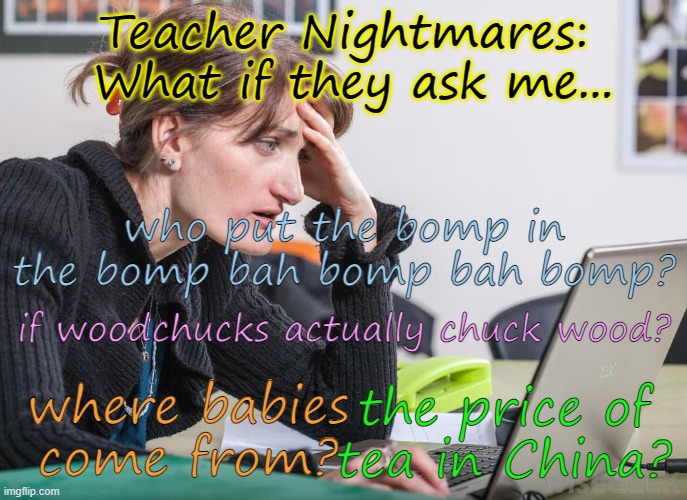 worried woman | Teacher Nightmares:  What if they ask me... who put the bomp in the bomp bah bomp bah bomp? if woodchucks actually chuck wood? the price of tea in China? where babies come from? | image tagged in worried woman | made w/ Imgflip meme maker