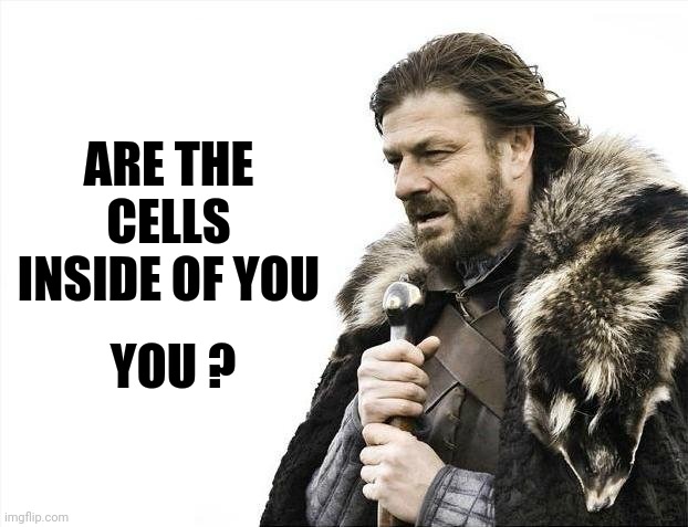 Individual Cells Are The Whole Or Are Part Of The Whole | ARE THE CELLS INSIDE OF YOU; YOU ? | image tagged in memes,brace yourselves x is coming,deep thoughts,philosophy,participation trophy,wait what | made w/ Imgflip meme maker