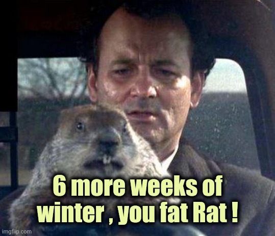 It's Groundhog Day ! | 6 more weeks of winter , you fat Rat ! | image tagged in groundhog day,forever,be afraid,winter is here,rat pack | made w/ Imgflip meme maker
