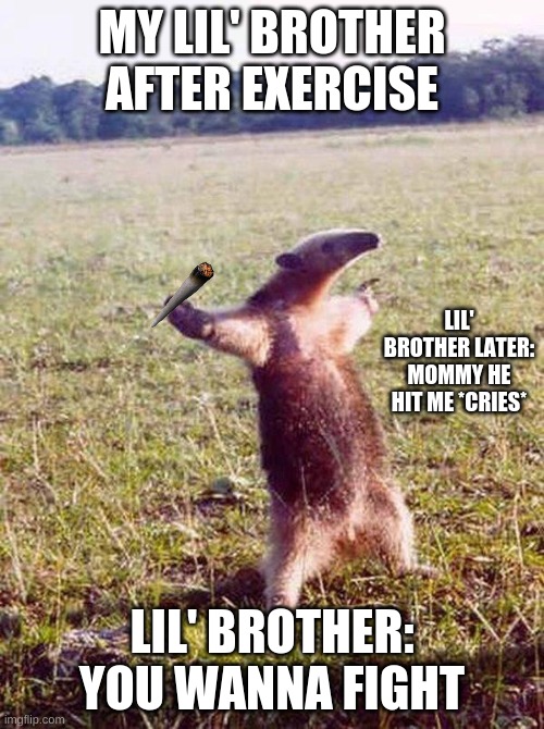 Fight me anteater | MY LIL' BROTHER AFTER EXERCISE; LIL' BROTHER LATER: MOMMY HE HIT ME *CRIES*; LIL' BROTHER: YOU WANNA FIGHT | image tagged in fight me anteater | made w/ Imgflip meme maker