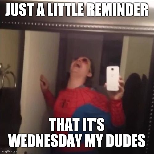 Good vine | JUST A LITTLE REMINDER; THAT IT'S WEDNESDAY MY DUDES | image tagged in it is wednesday my dudes aaaaaaaa | made w/ Imgflip meme maker