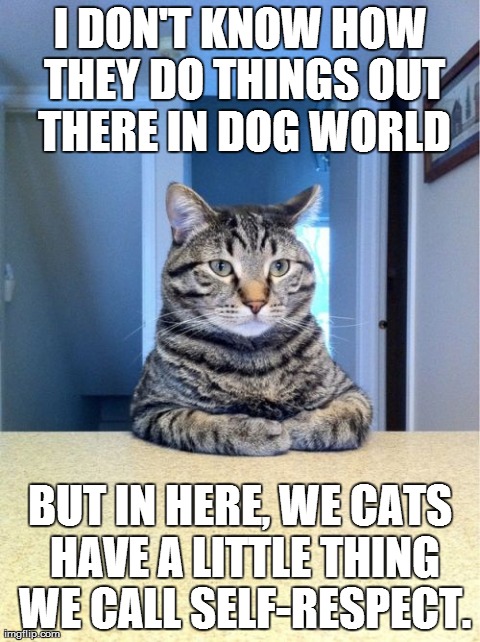 Take A Seat Cat Meme | I DON'T KNOW HOW THEY DO THINGS OUT THERE IN DOG WORLD BUT IN HERE, WE CATS HAVE A LITTLE THING WE CALL SELF-RESPECT. | image tagged in memes,take a seat cat | made w/ Imgflip meme maker