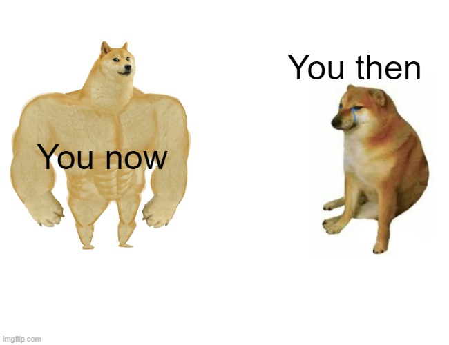 You now You then | image tagged in memes,buff doge vs cheems | made w/ Imgflip meme maker