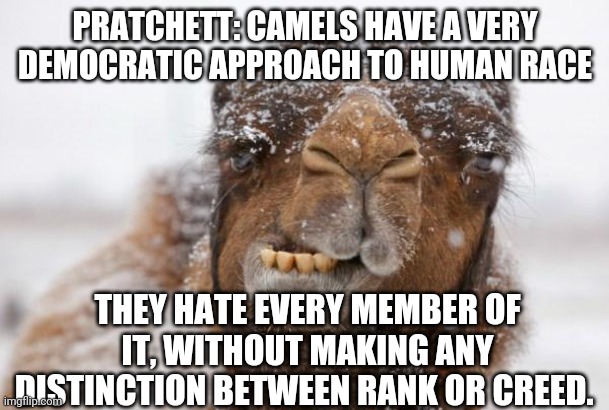 Terry Pratchett Camel quote | PRATCHETT: CAMELS HAVE A VERY DEMOCRATIC APPROACH TO HUMAN RACE; THEY HATE EVERY MEMBER OF IT, WITHOUT MAKING ANY DISTINCTION BETWEEN RANK OR CREED. | image tagged in camel,freezing cold,hump day camel,quote | made w/ Imgflip meme maker