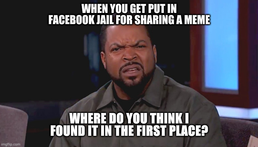 Facebook Jail | WHEN YOU GET PUT IN FACEBOOK JAIL FOR SHARING A MEME; WHERE DO YOU THINK I FOUND IT IN THE FIRST PLACE? | image tagged in really ice cube | made w/ Imgflip meme maker