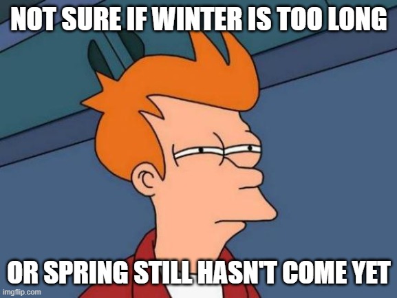 Already done with the snow | NOT SURE IF WINTER IS TOO LONG; OR SPRING STILL HASN'T COME YET | image tagged in memes,futurama fry,winter,spring | made w/ Imgflip meme maker