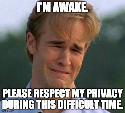 1990s First World Problems | I'M AWAKE. PLEASE RESPECT MY PRIVACY DURING THIS DIFFICULT TIME. | image tagged in memes,1990s first world problems | made w/ Imgflip meme maker