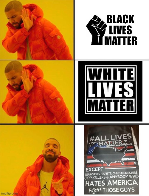 Siriusly, All Lives Matter | image tagged in drake meme 3 panels,funny,black lives matter,hilarious,awesome,racism | made w/ Imgflip meme maker