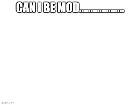 Blank White Template | CAN I BE MOD.................... | image tagged in blank white template | made w/ Imgflip meme maker
