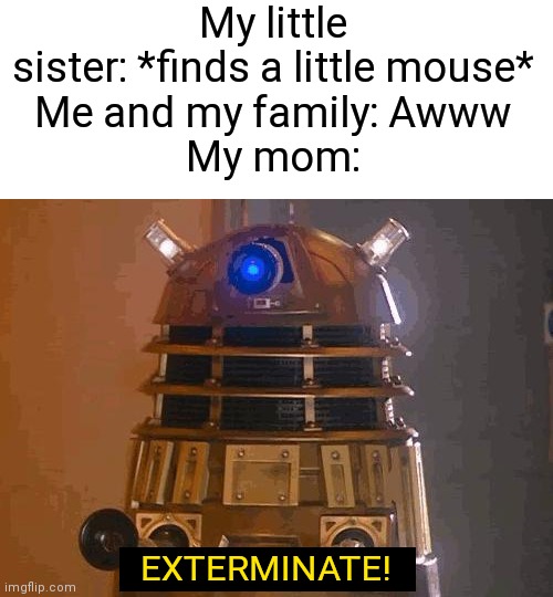 am I the only one who watches doctor who? | My little sister: *finds a little mouse*
Me and my family: Awww
My mom:; EXTERMINATE! | image tagged in memes,funny,doctor who | made w/ Imgflip meme maker