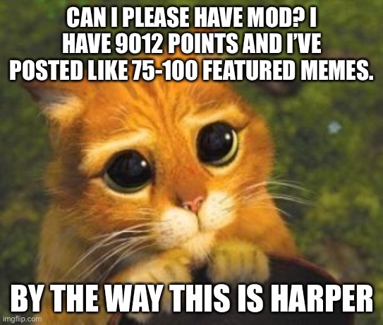 Sad Puppy Eyes Cat | CAN I PLEASE HAVE MOD? I HAVE 9012 POINTS AND I’VE POSTED LIKE 75-100 FEATURED MEMES. BY THE WAY THIS IS HARPER | image tagged in sad puppy eyes cat | made w/ Imgflip meme maker