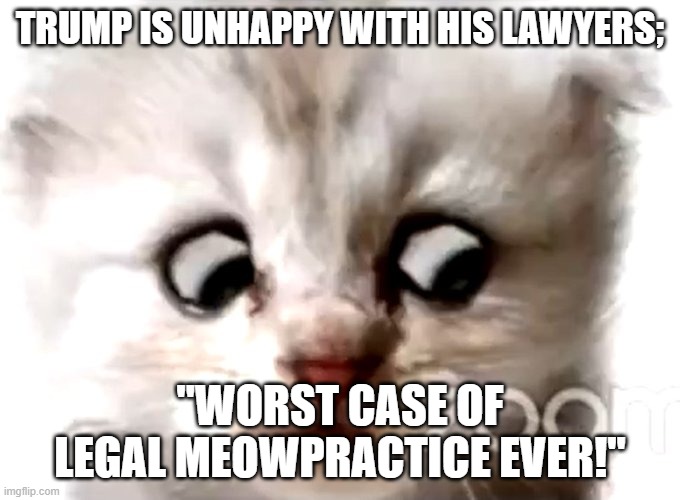 Legal Meowpractice | TRUMP IS UNHAPPY WITH HIS LAWYERS;; "WORST CASE OF LEGAL MEOWPRACTICE EVER!" | image tagged in lawyers,funny cats,cats,impeach,impeachment | made w/ Imgflip meme maker