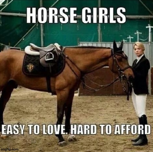 Hehe XD sooo true | image tagged in horses | made w/ Imgflip meme maker