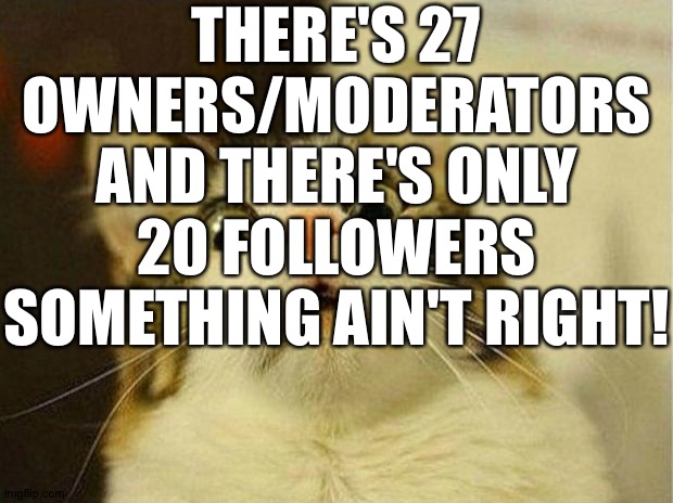 Y'all start following please?! | THERE'S 27 OWNERS/MODERATORS AND THERE'S ONLY 20 FOLLOWERS SOMETHING AIN'T RIGHT! | image tagged in memes,scared cat | made w/ Imgflip meme maker