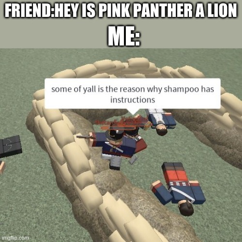 ME:; FRIEND:HEY IS PINK PANTHER A LION | image tagged in dumb,stupid,friends,why cant you just be normal | made w/ Imgflip meme maker