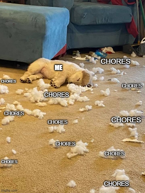 woof woof zzzzzzz | CHORES; ME; CHORES; CHORES; CHORES; CHORES; CHORES; CHORES; CHORES; CHORES; CHORES; CHORES | image tagged in puppy,cute puppies,cute dog,dogs,chores,funny meme | made w/ Imgflip meme maker
