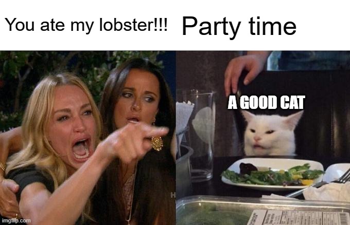 Woman Yelling At Cat | You ate my lobster!!! Party time; A GOOD CAT | image tagged in memes,woman yelling at cat | made w/ Imgflip meme maker