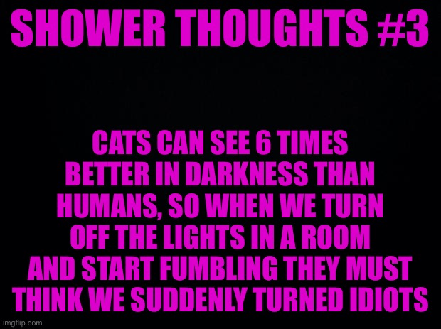 Shower thoughts #3 | SHOWER THOUGHTS #3; CATS CAN SEE 6 TIMES BETTER IN DARKNESS THAN HUMANS, SO WHEN WE TURN OFF THE LIGHTS IN A ROOM AND START FUMBLING THEY MUST THINK WE SUDDENLY TURNED IDIOTS | image tagged in black background | made w/ Imgflip meme maker