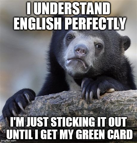 Confession Bear Meme | I UNDERSTAND ENGLISH PERFECTLY I'M JUST STICKING IT OUT UNTIL I GET MY GREEN CARD | image tagged in memes,confession bear | made w/ Imgflip meme maker