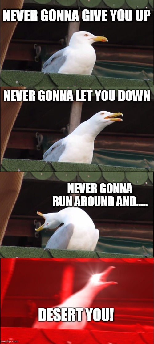 get rickrolled lol | NEVER GONNA GIVE YOU UP; NEVER GONNA LET YOU DOWN; NEVER GONNA RUN AROUND AND..... DESERT YOU! | image tagged in memes,inhaling seagull,rickrolling | made w/ Imgflip meme maker