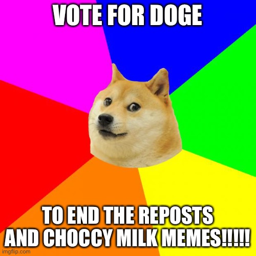 Vote for me, RandomDoge123 | VOTE FOR DOGE; TO END THE REPOSTS AND CHOCCY MILK MEMES!!!!! | image tagged in memes,advice doge | made w/ Imgflip meme maker