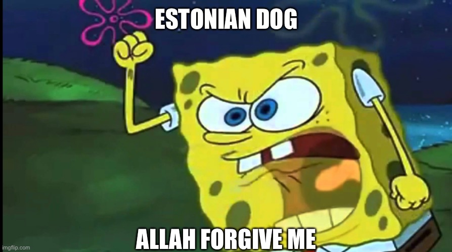 By allah | ESTONIAN DOG; ALLAH FORGIVE ME | made w/ Imgflip meme maker