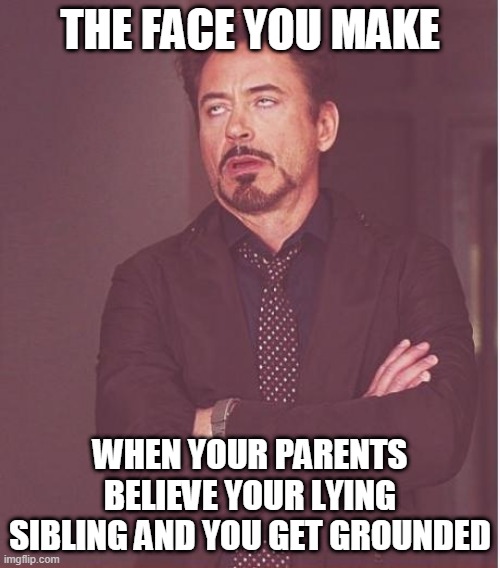 Face You Make Robert Downey Jr | THE FACE YOU MAKE; WHEN YOUR PARENTS BELIEVE YOUR LYING SIBLING AND YOU GET GROUNDED | image tagged in memes,face you make robert downey jr | made w/ Imgflip meme maker