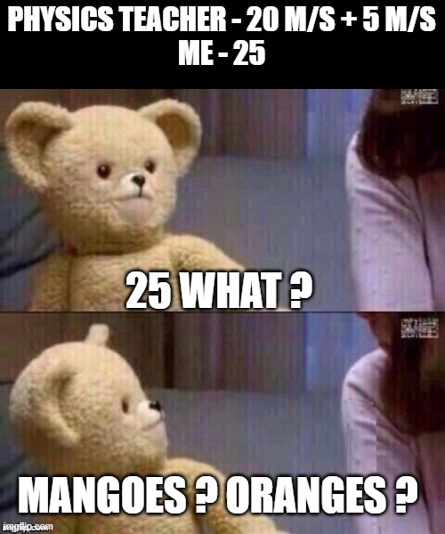 Physics | PHYSICS TEACHER - 20 M/S + 5 M/S
ME - 25; 25 WHAT ? MANGOES ? ORANGES ? | image tagged in what teddy bear,physics,oranges,mangoes,teddy bear,memes | made w/ Imgflip meme maker