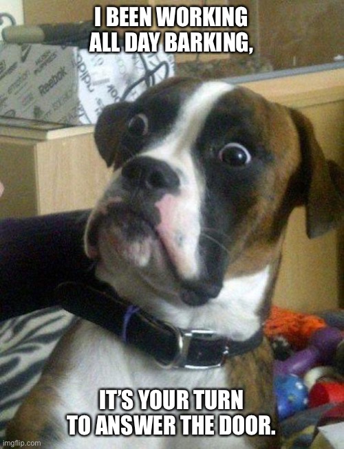 Surprised Boxer | I BEEN WORKING ALL DAY BARKING, IT’S YOUR TURN TO ANSWER THE DOOR. | image tagged in surprised boxer | made w/ Imgflip meme maker
