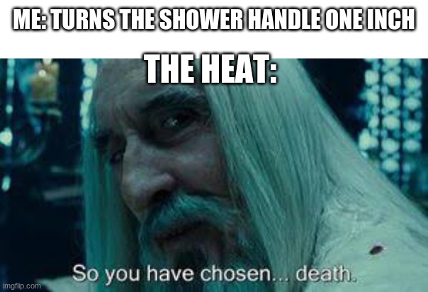 BRO EVERY TIME | ME: TURNS THE SHOWER HANDLE ONE INCH; THE HEAT: | image tagged in shower,funny,memes,so you have chosen death,lord of the rings | made w/ Imgflip meme maker