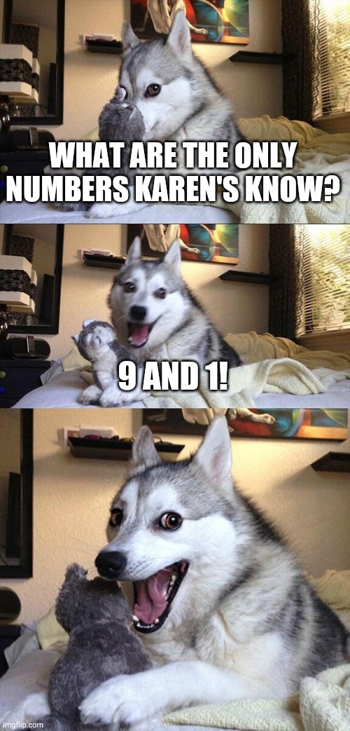 Probably takes up 80% of their brains to remember | WHAT ARE THE ONLY NUMBERS KAREN'S KNOW? 9 AND 1! | image tagged in memes,bad pun dog | made w/ Imgflip meme maker