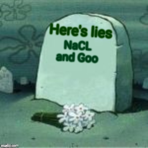 I feel like crying in bed now | Here's lies; NaCL and Goo | image tagged in here lies x | made w/ Imgflip meme maker
