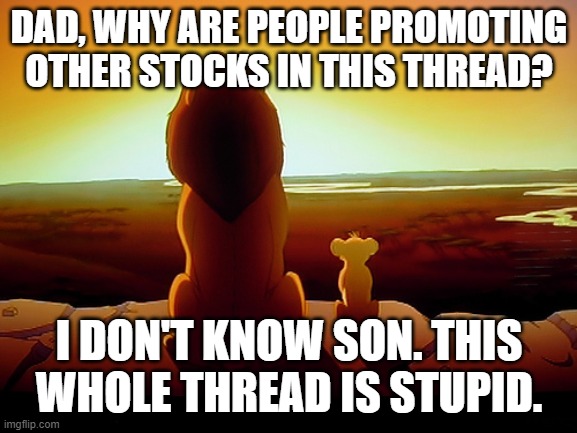 Lion King | DAD, WHY ARE PEOPLE PROMOTING OTHER STOCKS IN THIS THREAD? I DON'T KNOW SON. THIS WHOLE THREAD IS STUPID. | image tagged in memes,lion king | made w/ Imgflip meme maker