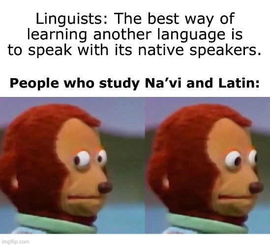Linguists: The best way of learning another language is to speak with its native speakers. People who study Na’vi and Latin: | image tagged in avatar,linguistics,language,na'vi,alien language,native speakers | made w/ Imgflip meme maker